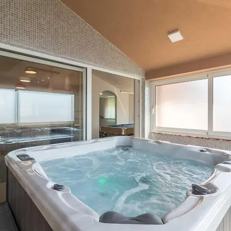 Luxurious Istra Kamen וילה