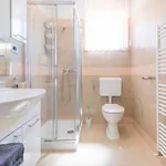 Luxurious Istra Kamen * Pola